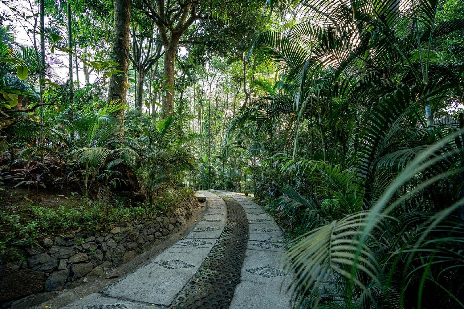 The Hive, Wayanad Hotel Exterior foto
