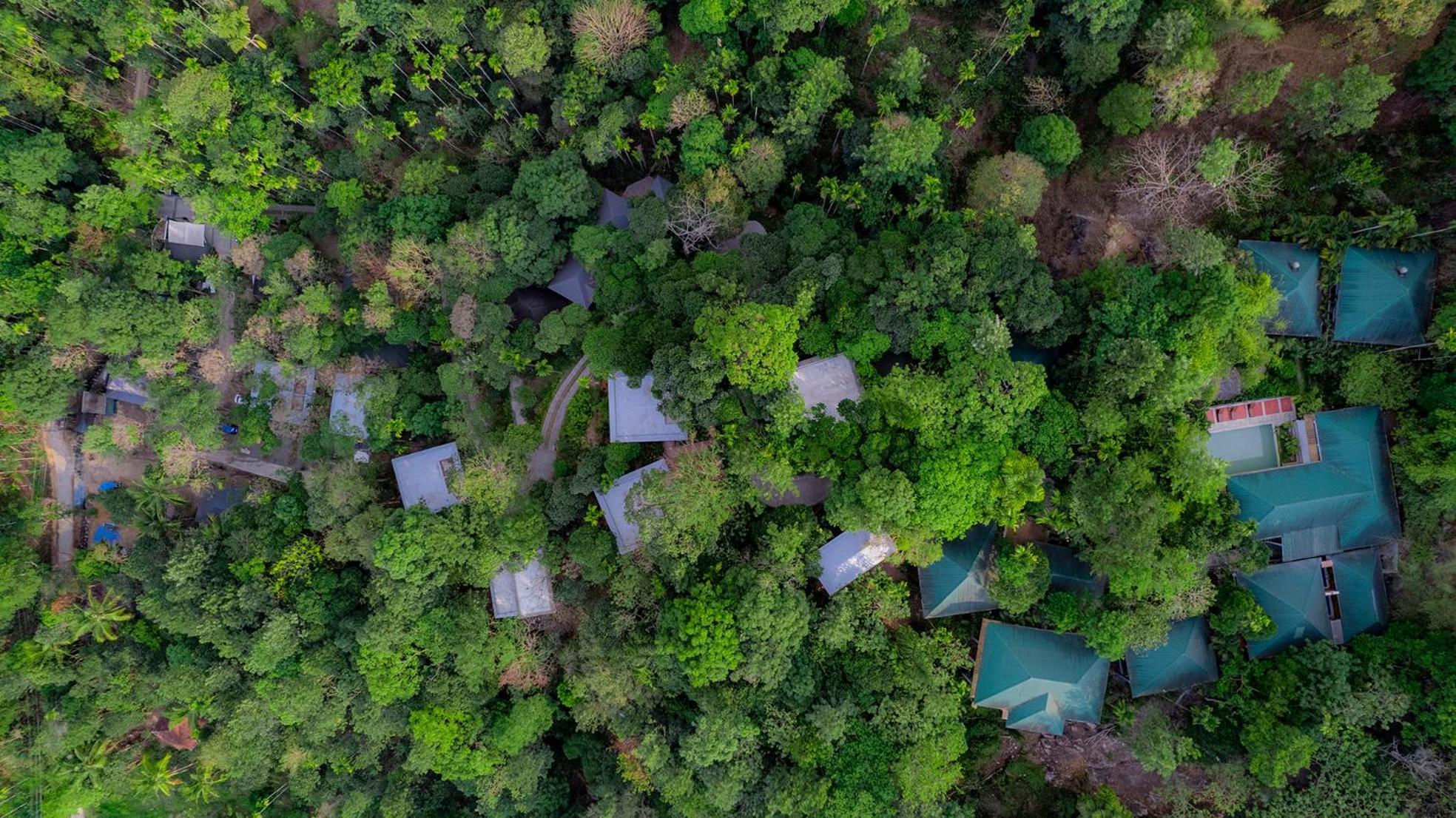 The Hive, Wayanad Hotel Exterior foto
