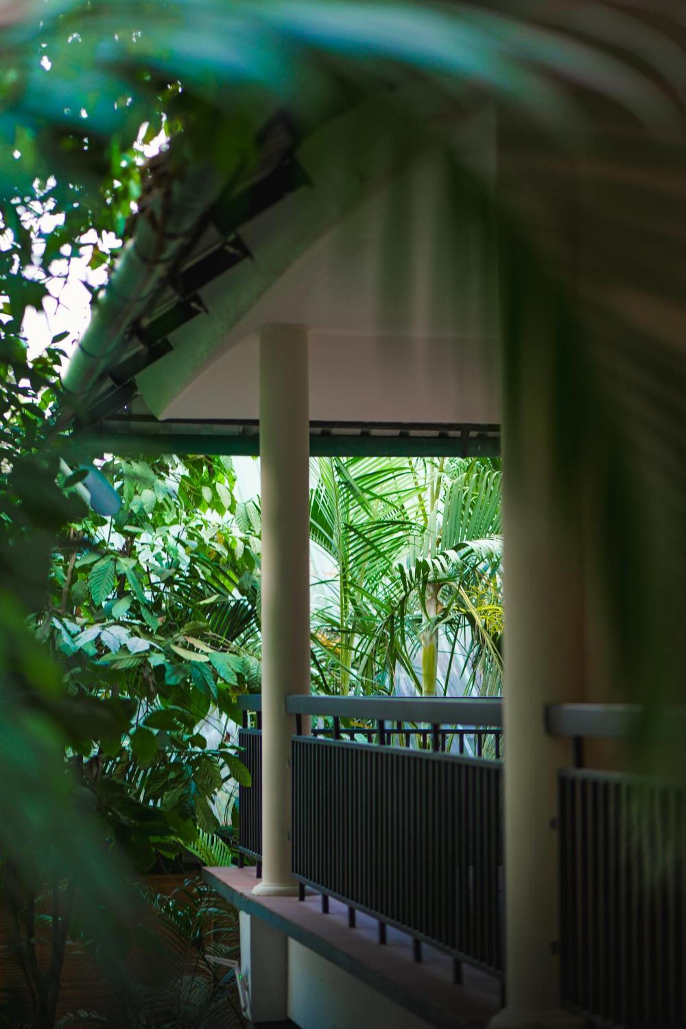 The Hive, Wayanad Hotel Exterior foto