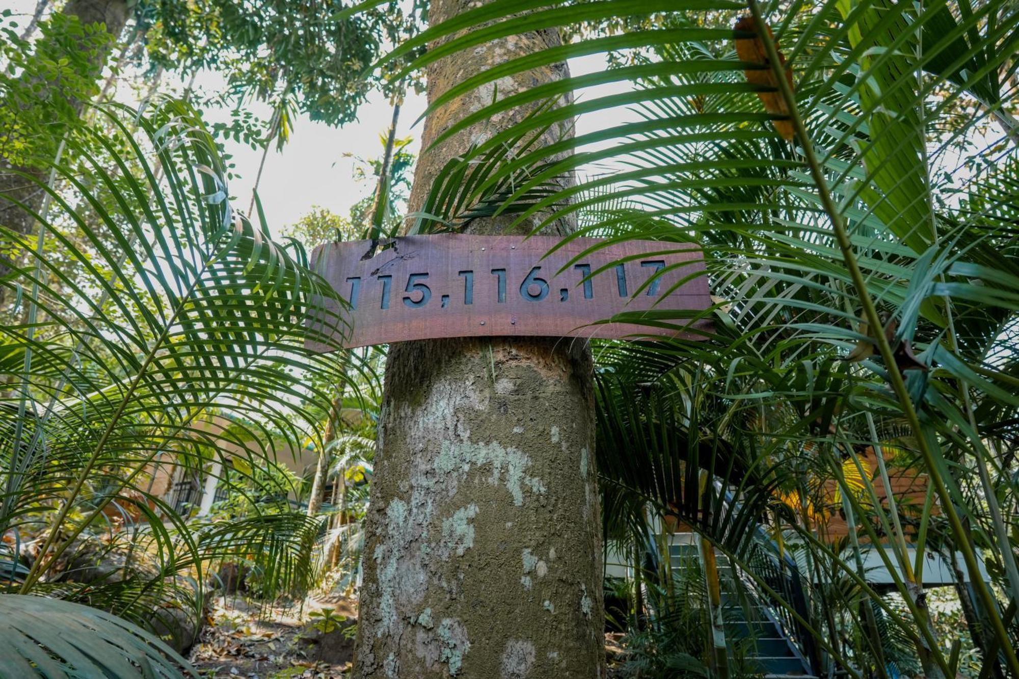 The Hive, Wayanad Hotel Exterior foto