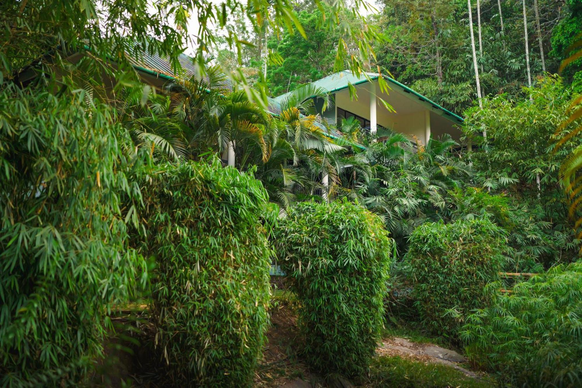 The Hive, Wayanad Hotel Exterior foto